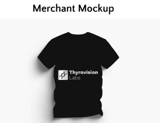 worked on brand guidelines for Thyrovision Labs